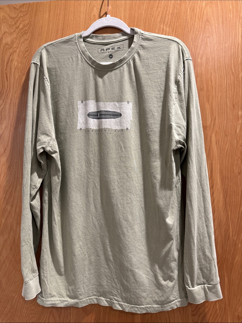 Apex Long-Sleeve Crew Tee in Sage Green with Graphic